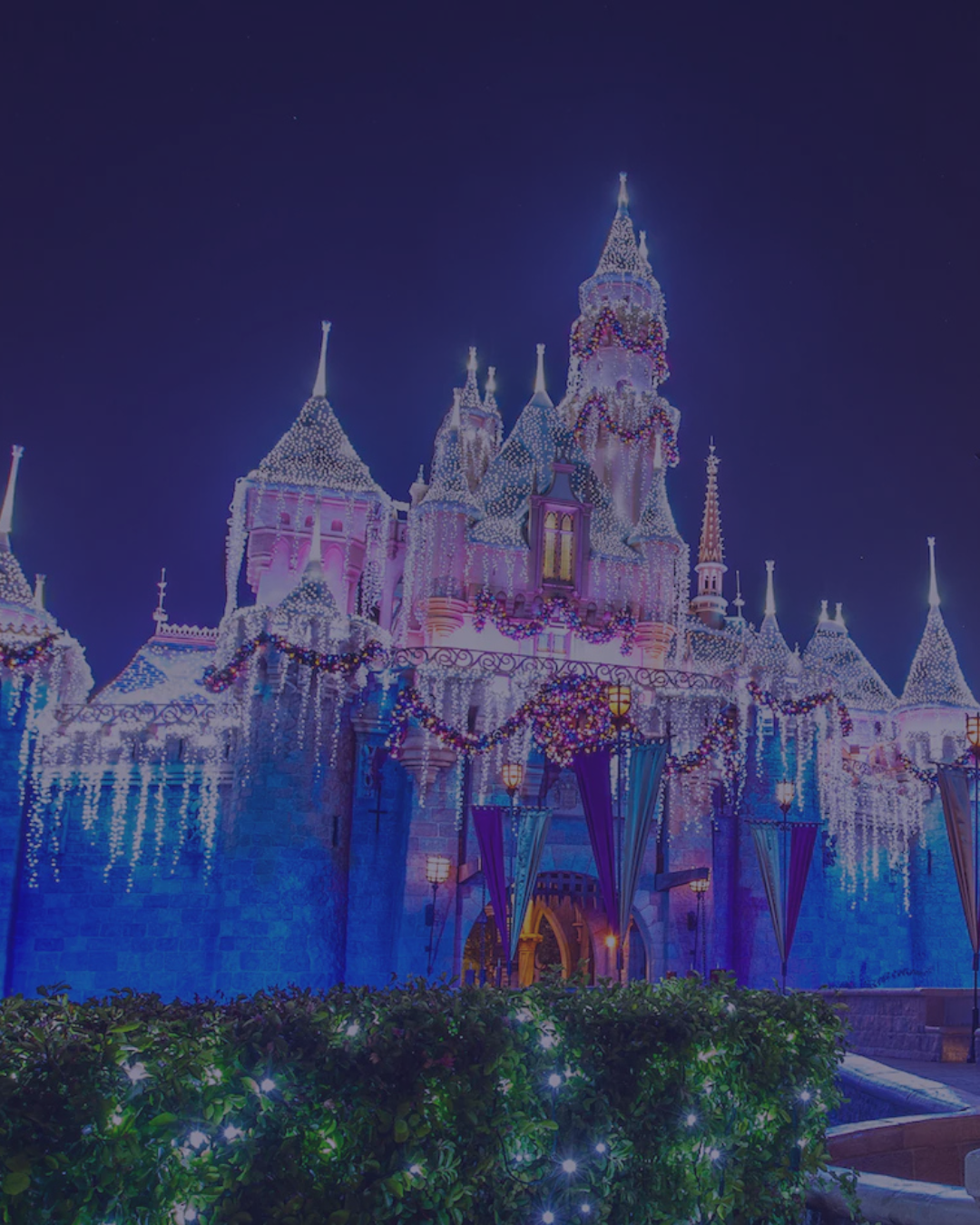 Adult Christmas Collection