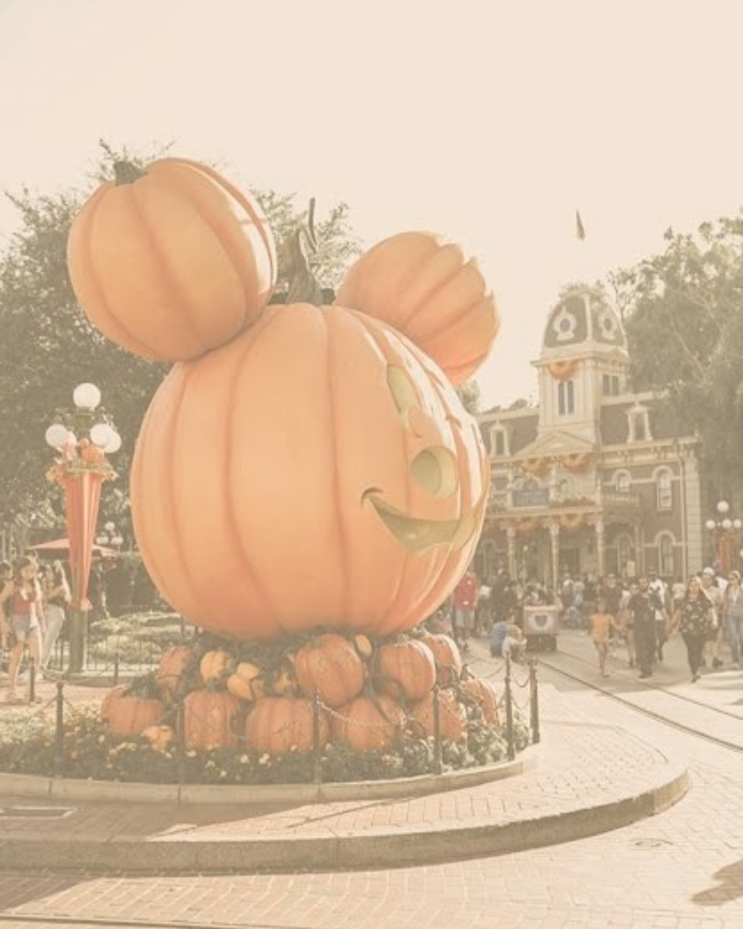 Halloween🎃✨